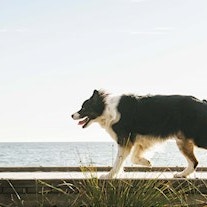 Getty Images RR min