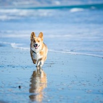 Getty Images medium min