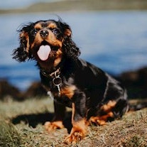 GettyImages Petite min