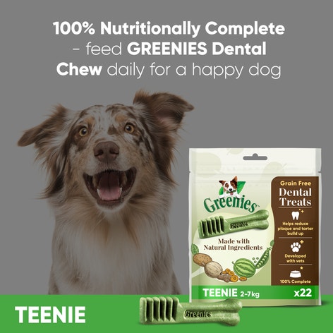 GREENIES™ Grain Free Adult Teenie Dog Treats 22 x Dental Chews 170g-3