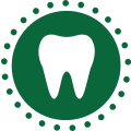 Teeth